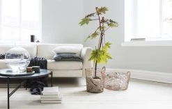 Korbo Bin 18 Wire Basket, Copper 11 Korbo Bin 18 Wire Basket, Copper -Vitra Shop Bin 18 26 Classic 35 copper Living room 1 1