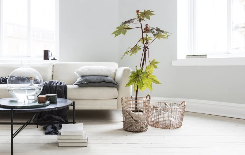 Korbo Classic 35 Wire Basket, Copper - Image 6