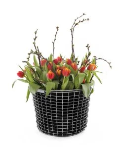 Alternative view of Korbo Bucket 16 Wire Basket, Acid Proof Stainless Steel