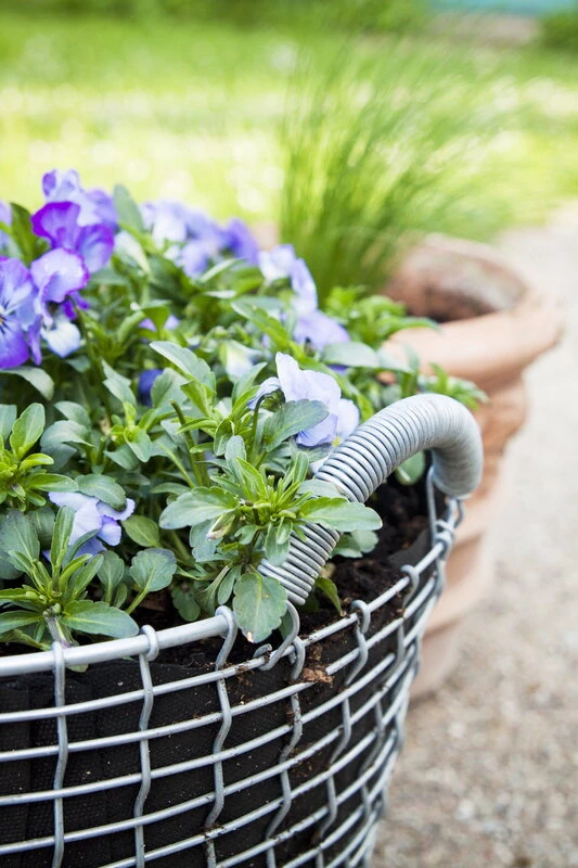 Korbo Classic 24 Wire Basket, Galvanized - Image 5