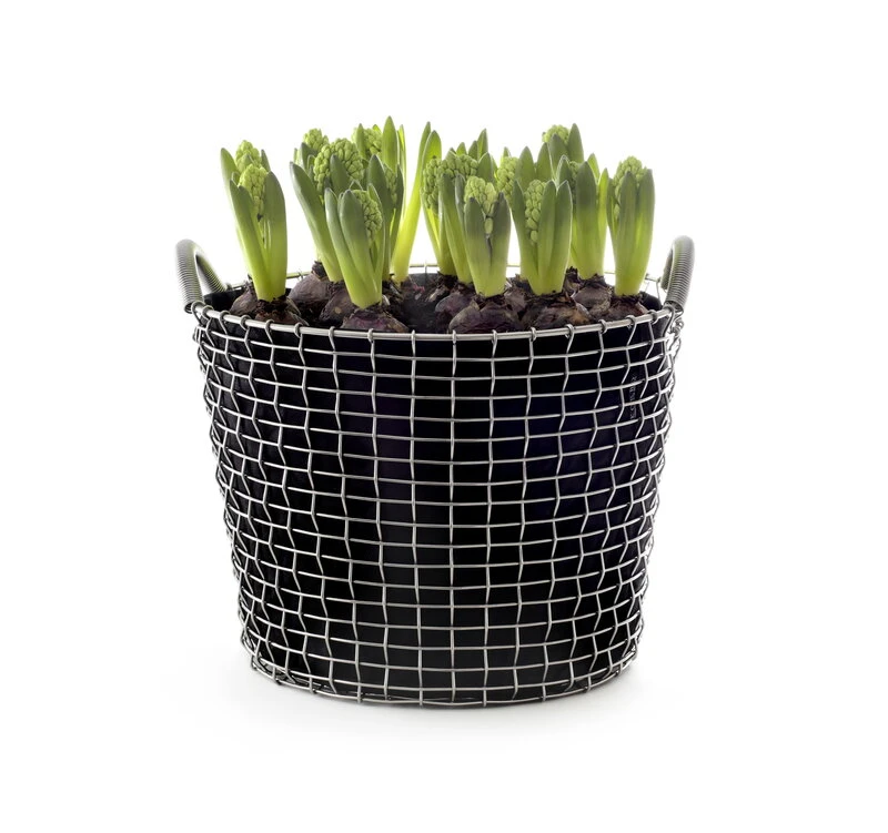 Korbo Classic 24 Wire Basket, Acid Proof Stainless Steel - Image 2