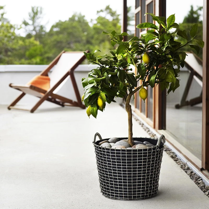 Korbo Classic 24 Wire Basket, Galvanized - Image 6