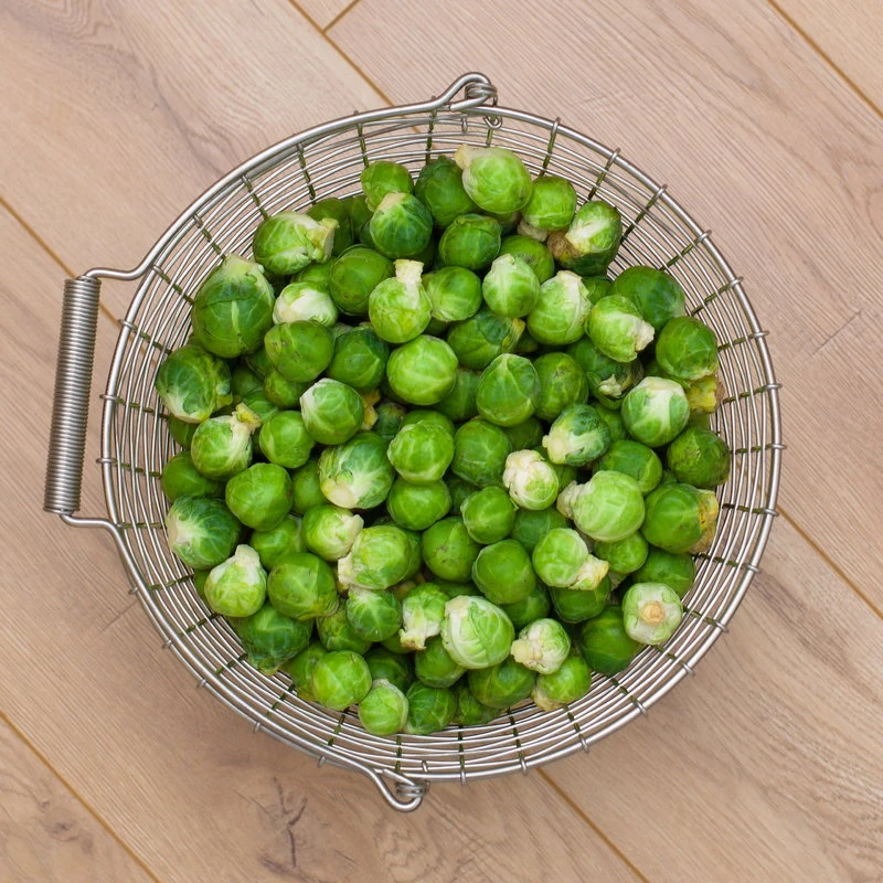 Korbo Bucket 16 Wire Basket, Galvanized - Image 5